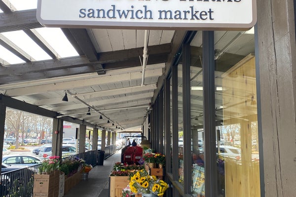 Mendocino Farms — photo