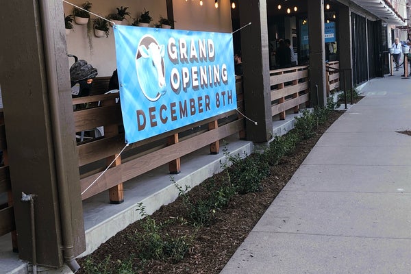 Mendocino Farms — photo 4