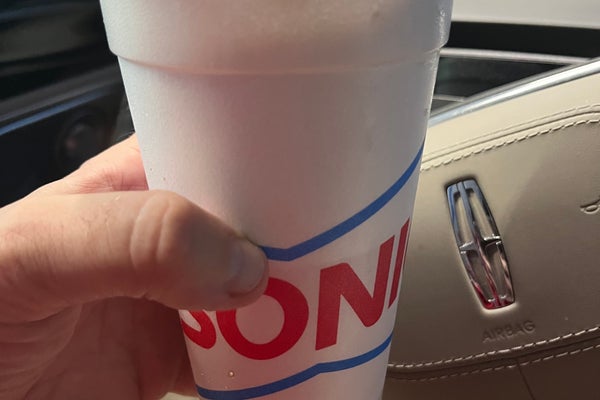Sonic — photo 3