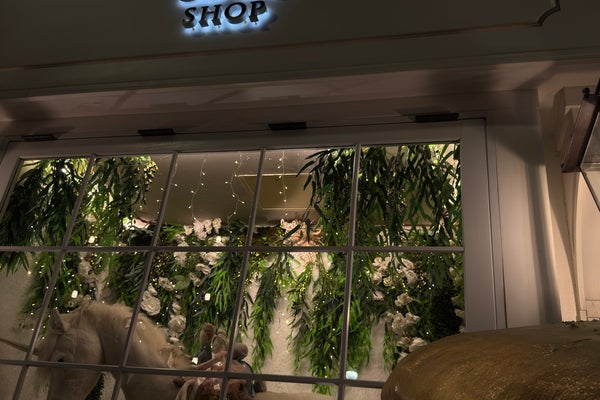 The Cake Bake Shop — photo 2