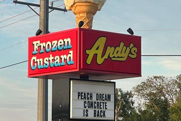Andy's Frozen Custard — photo 3