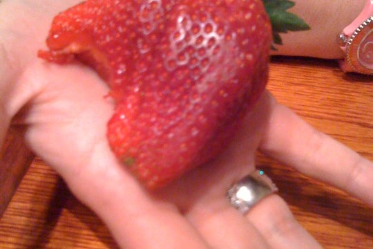 Red Lobster — photo 3