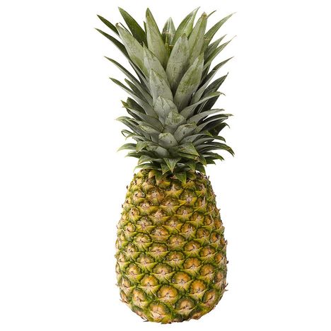 Chestnut Hill The Perfect Pineapple